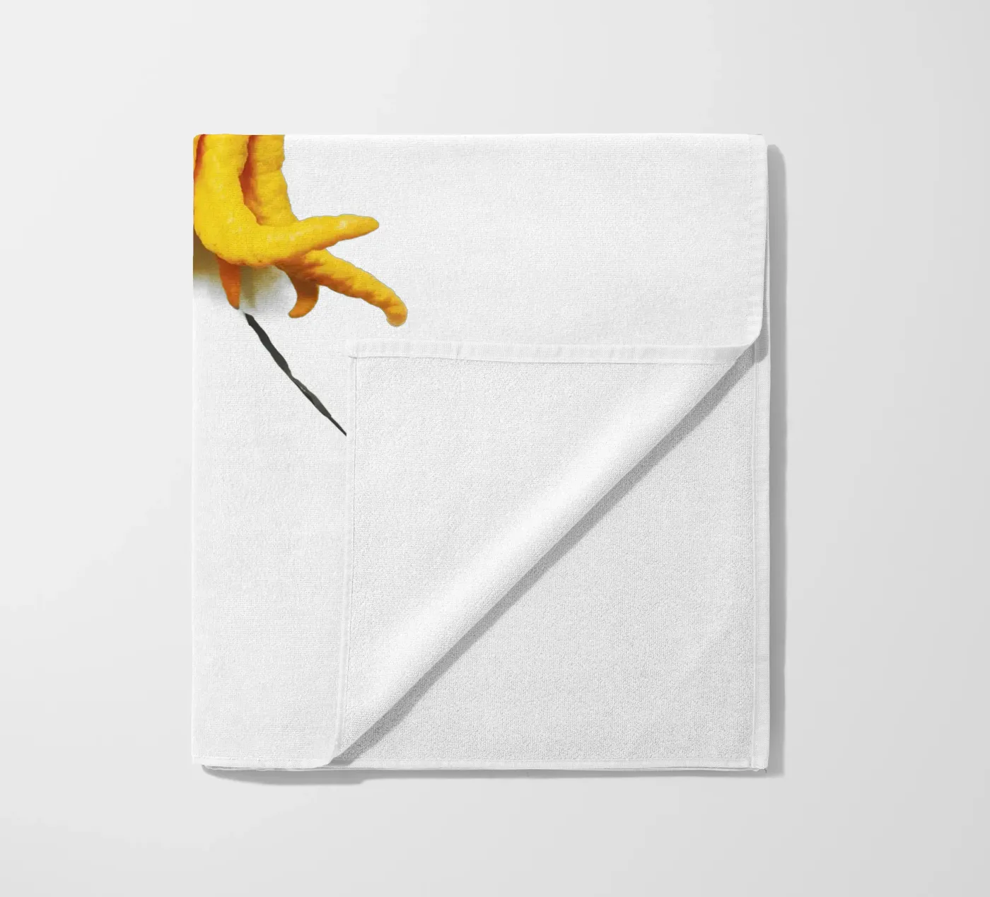 Citrus telo mare da Gretchen Roehrs