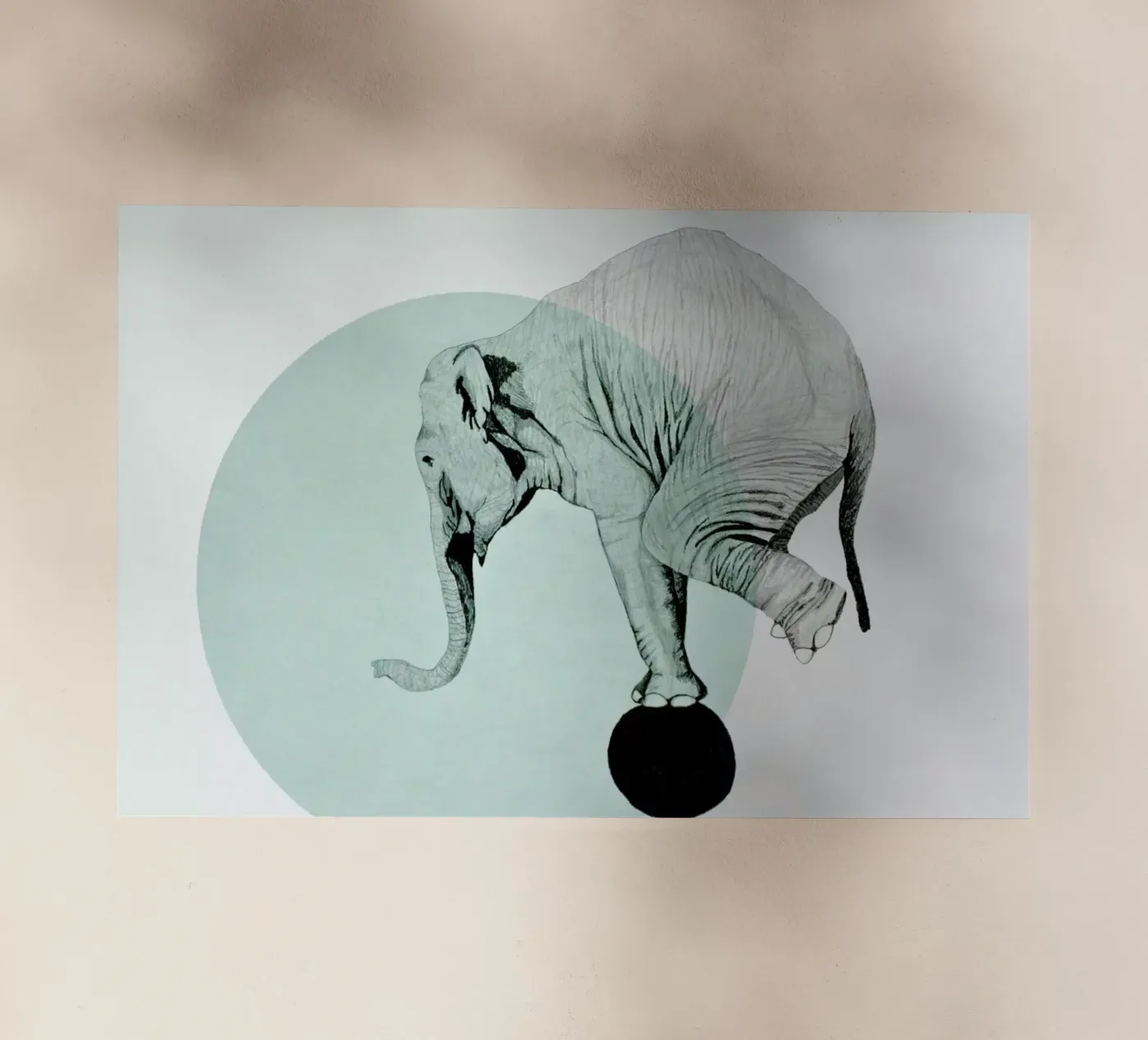 Elephant pellicola backlit da Morgan Kendall