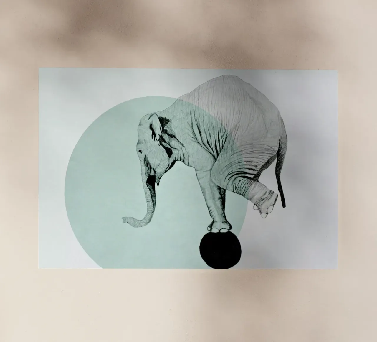 Elephant pellicola backlit da Morgan Kendall