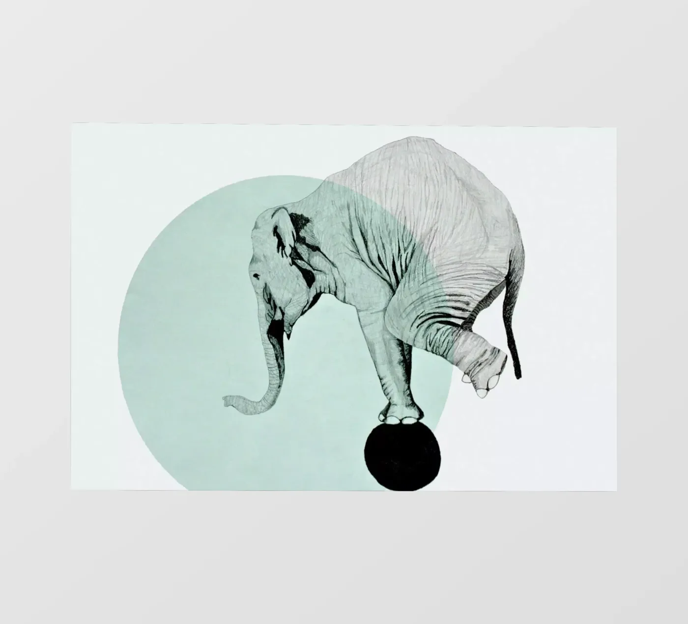 Elephant pellicola backlit da Morgan Kendall