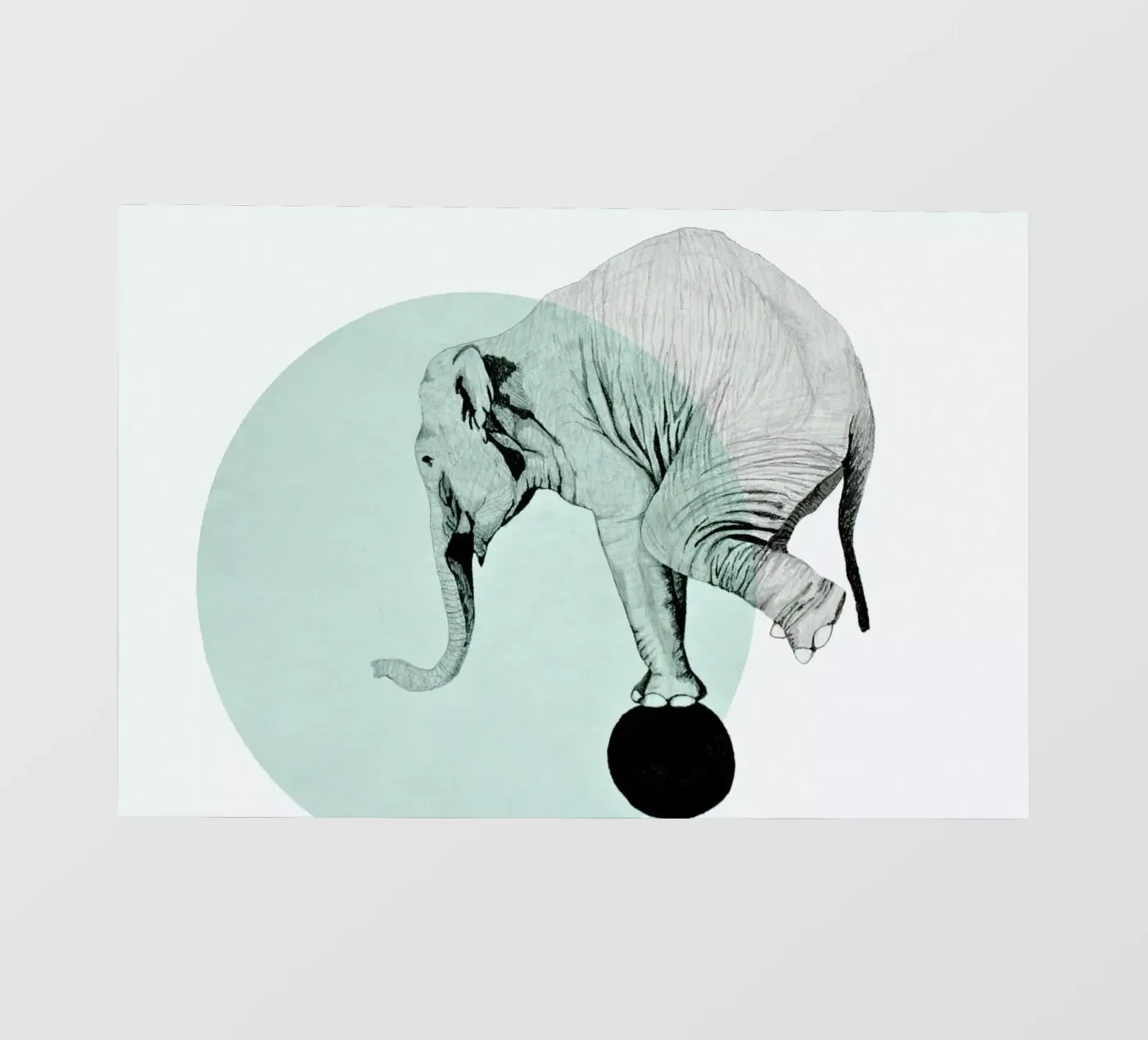 Elephant pellicola backlit da Morgan Kendall
