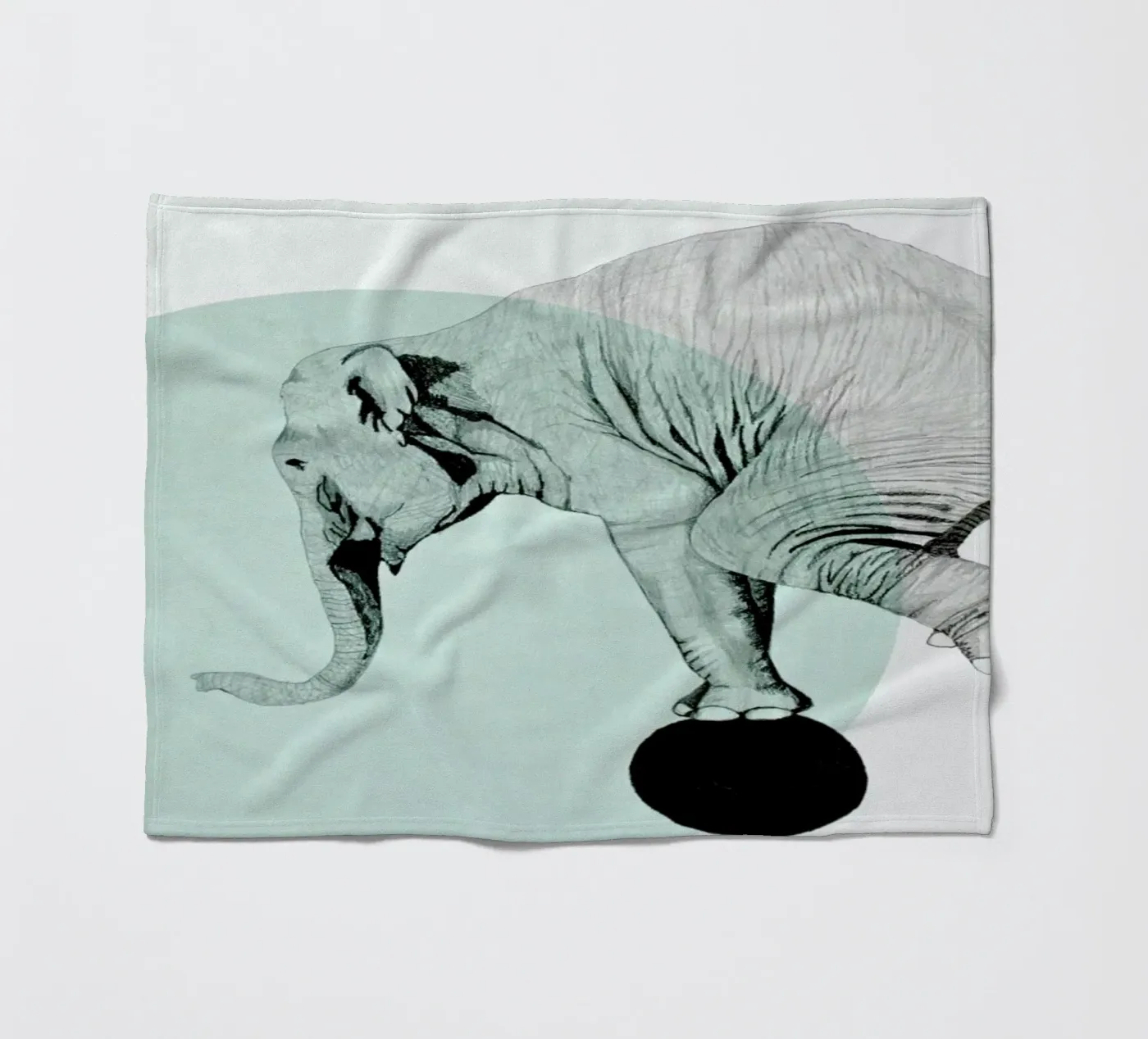 Elephant Fleecedecke von Morgan Kendall
