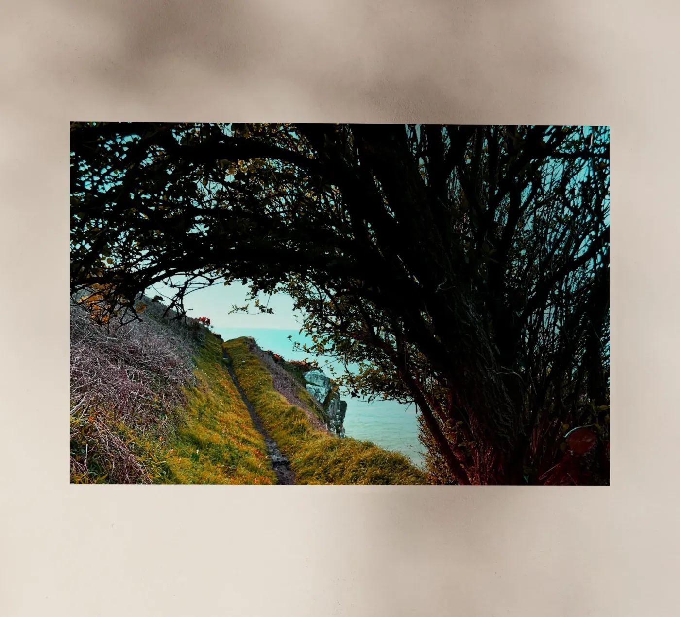 FAA219 pellicola backlit da Thierry vobmann photography