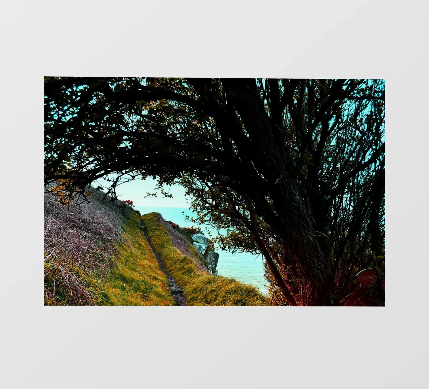 FAA219 pellicola backlit da Thierry vobmann photography