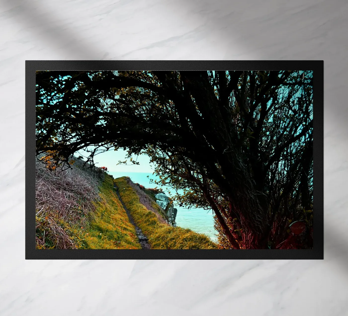 FAA219 zerbino da Thierry vobmann photography