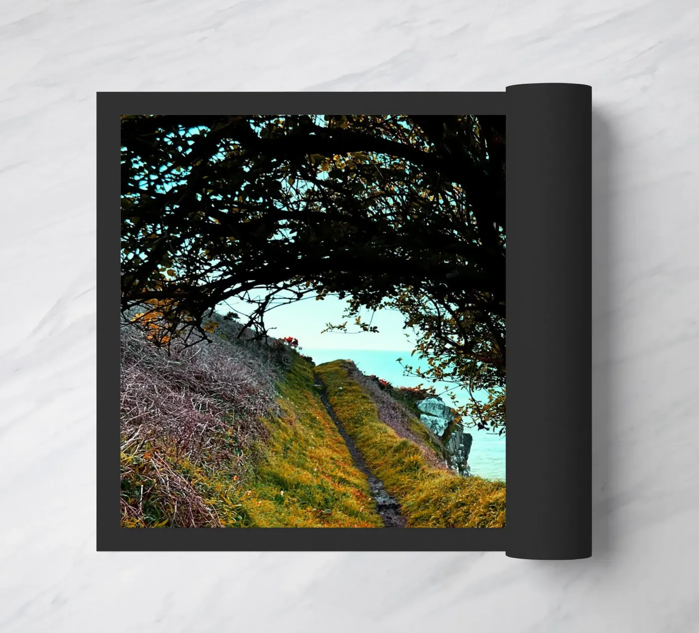 FAA219 zerbino da Thierry vobmann photography