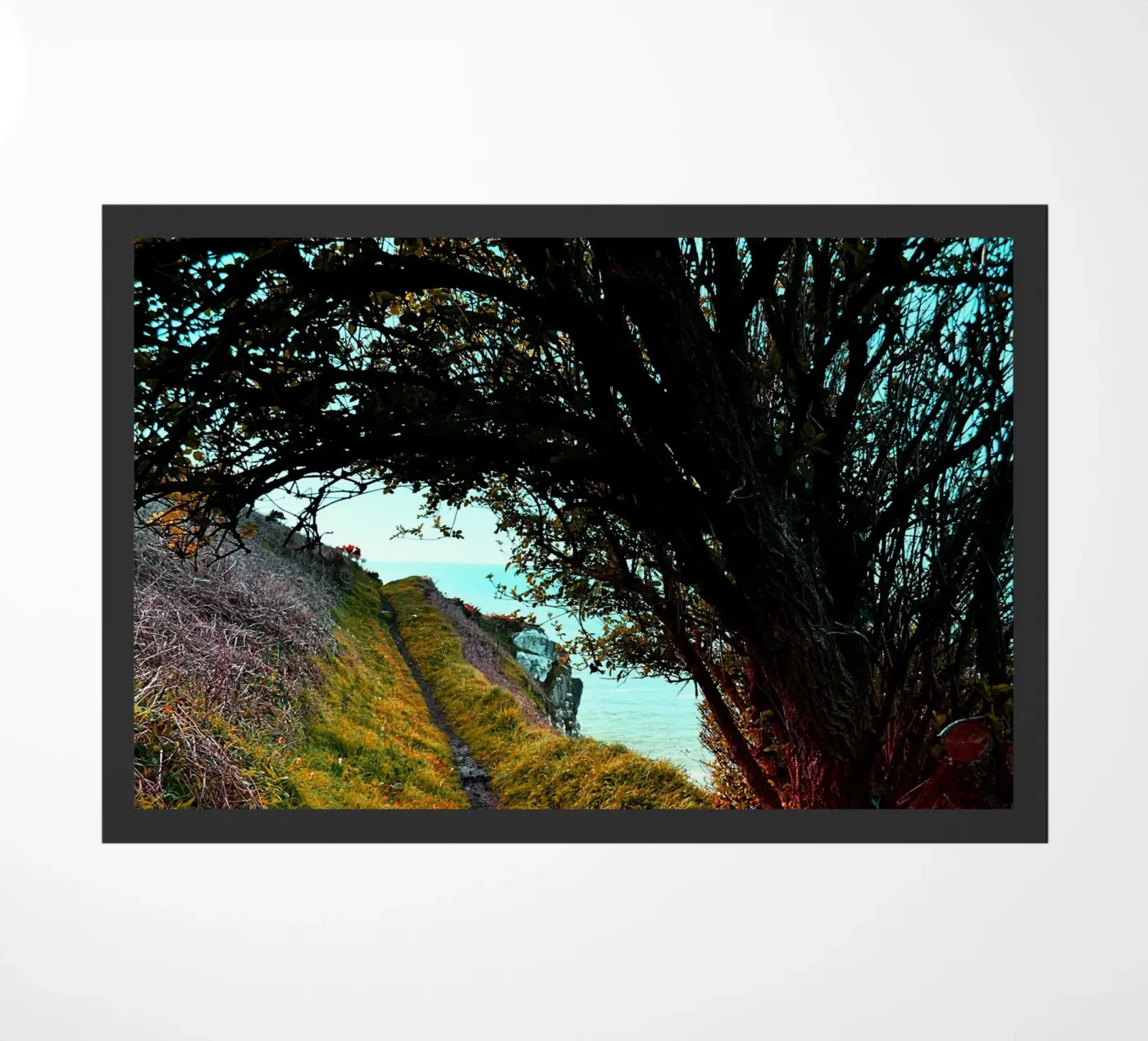 FAA219 zerbino da Thierry vobmann photography