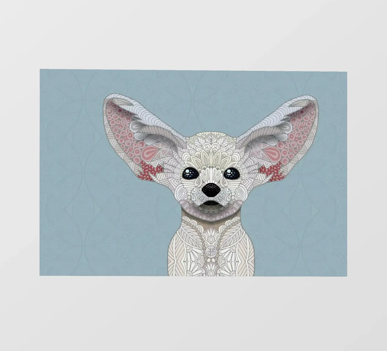 Fennec Fox pellicola backlit da Angelika Parker