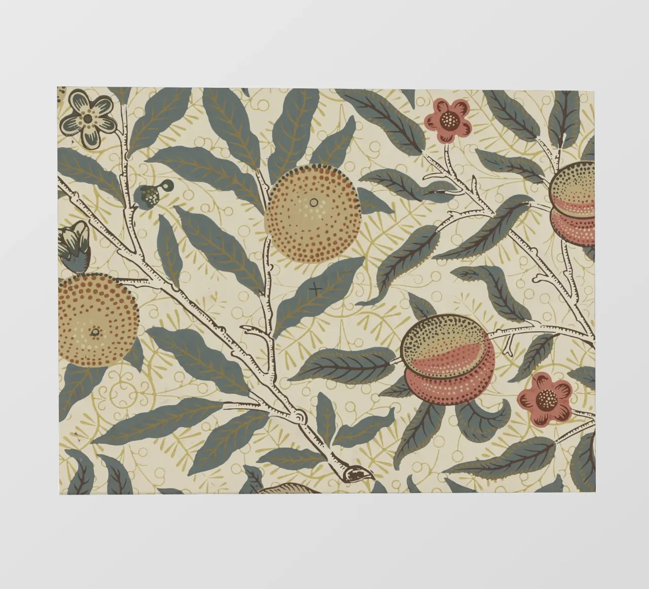 William Morris - Frutta pellicola backlit da William Store