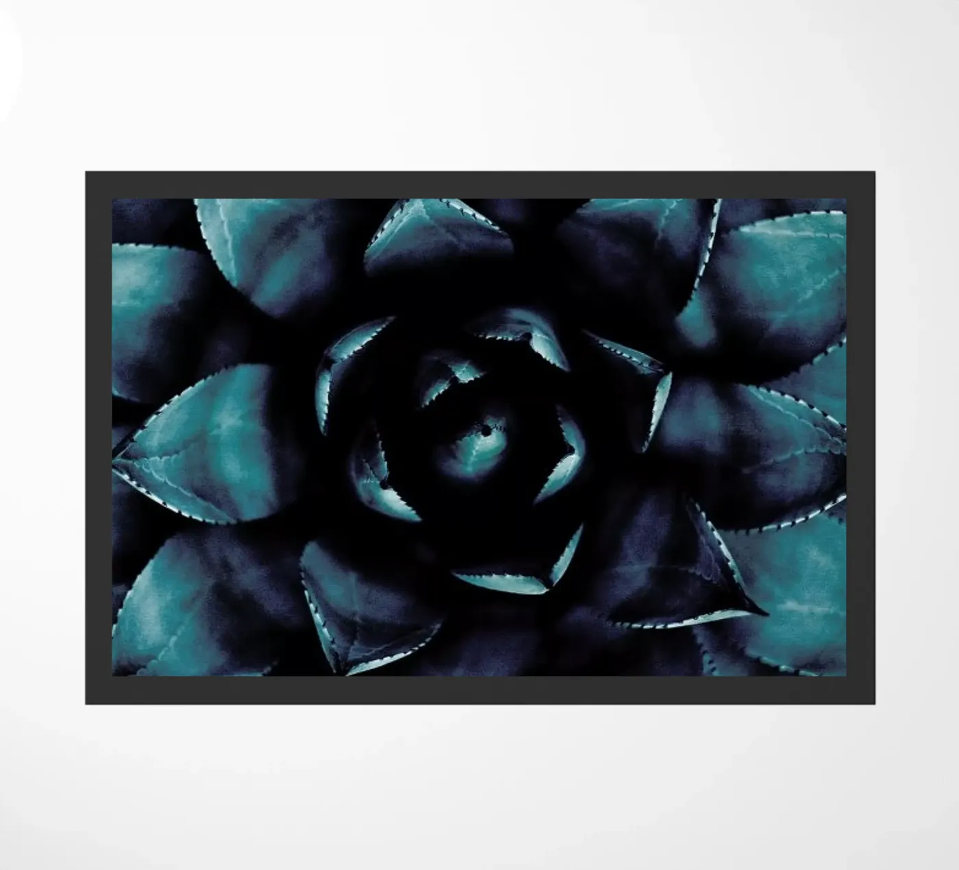 Cactus No.9 zerbino da Kubistika