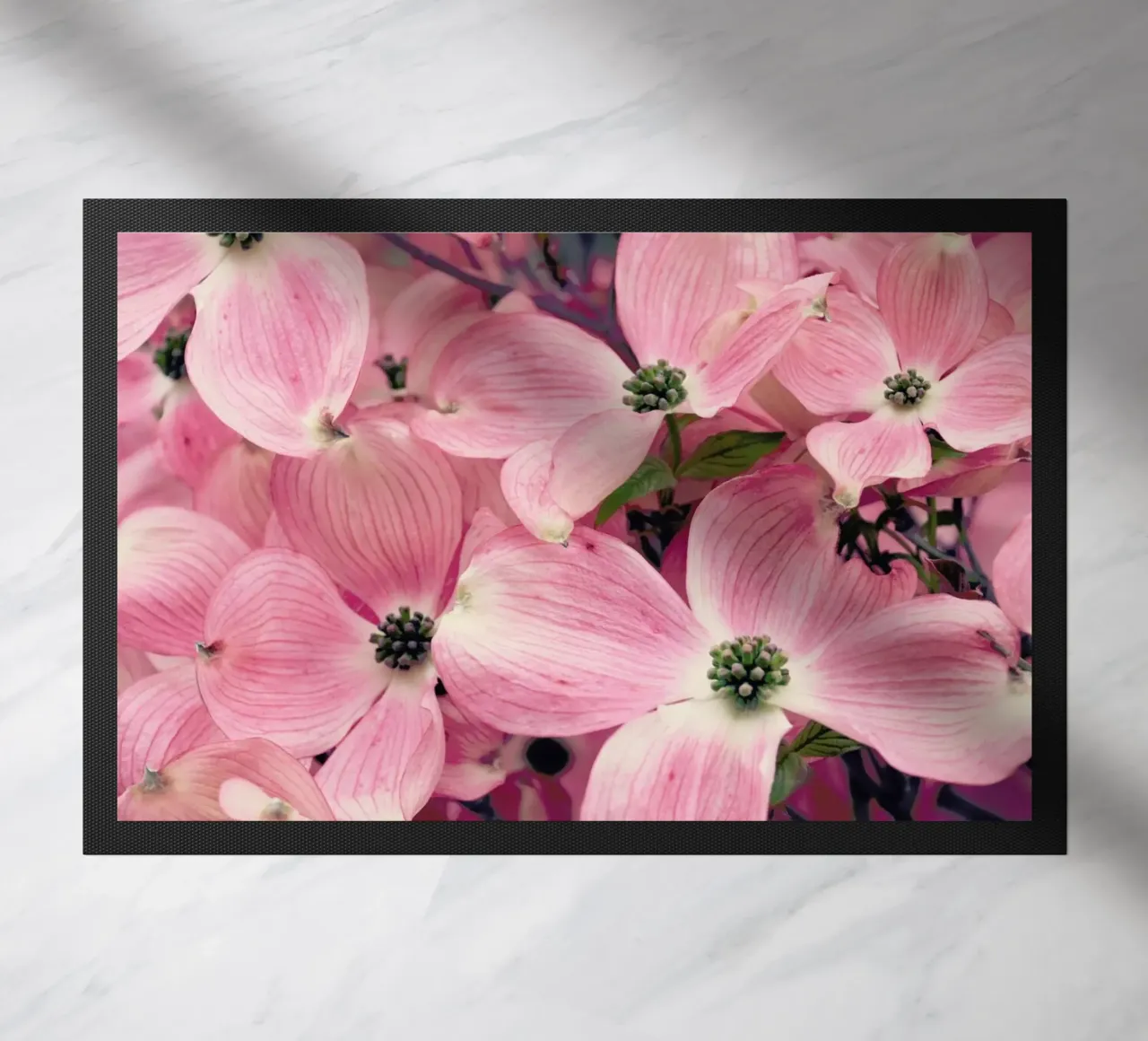 Pink zerbino da Robin Delean