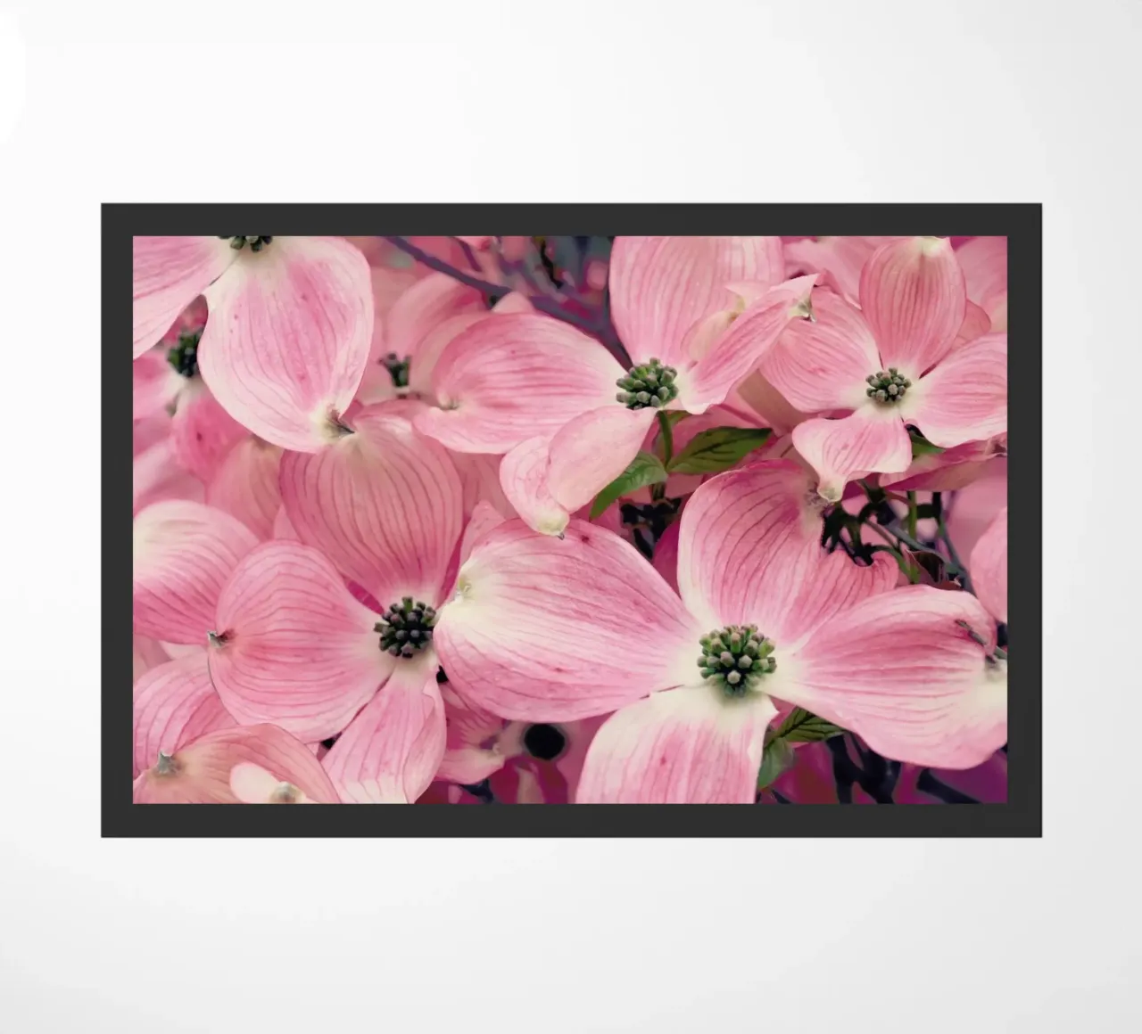 Pink zerbino da Robin Delean