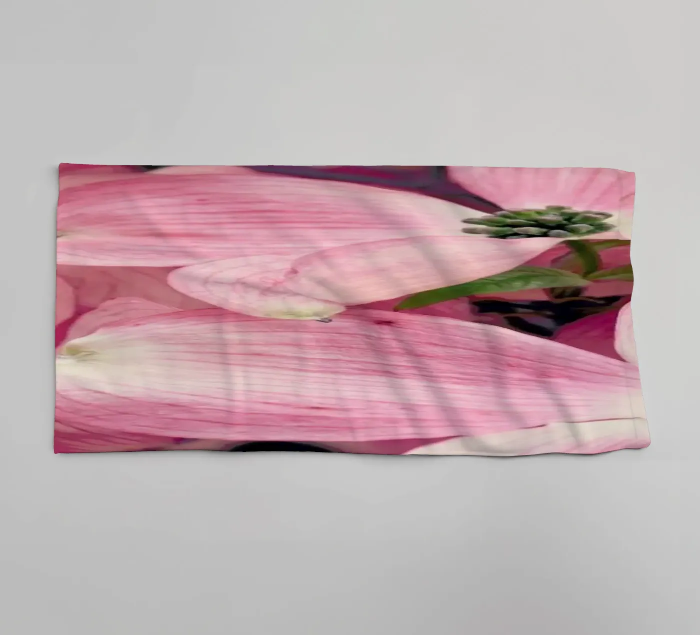 Pink towel by Robin Delean