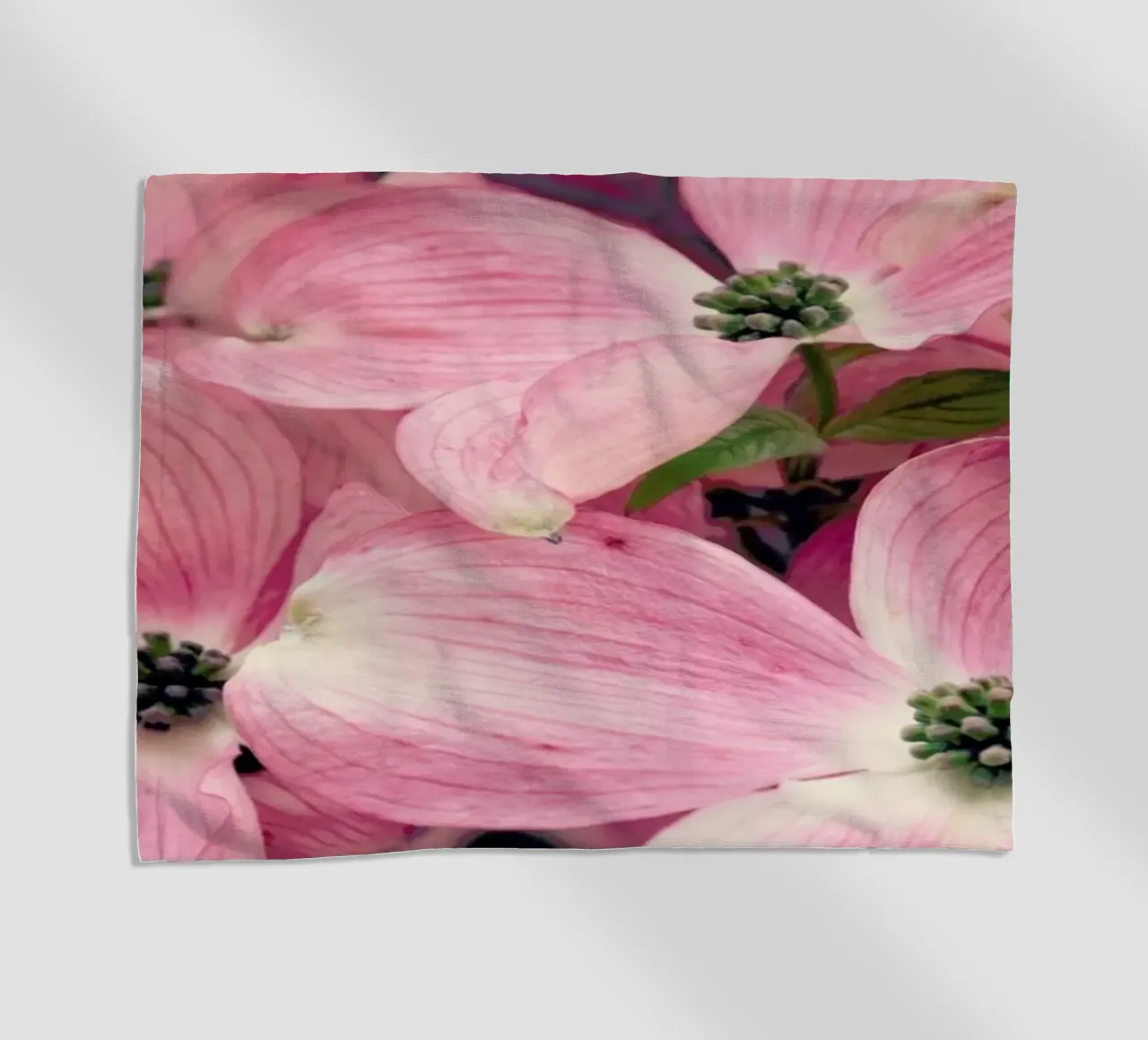 Pink telo mare da Robin Delean