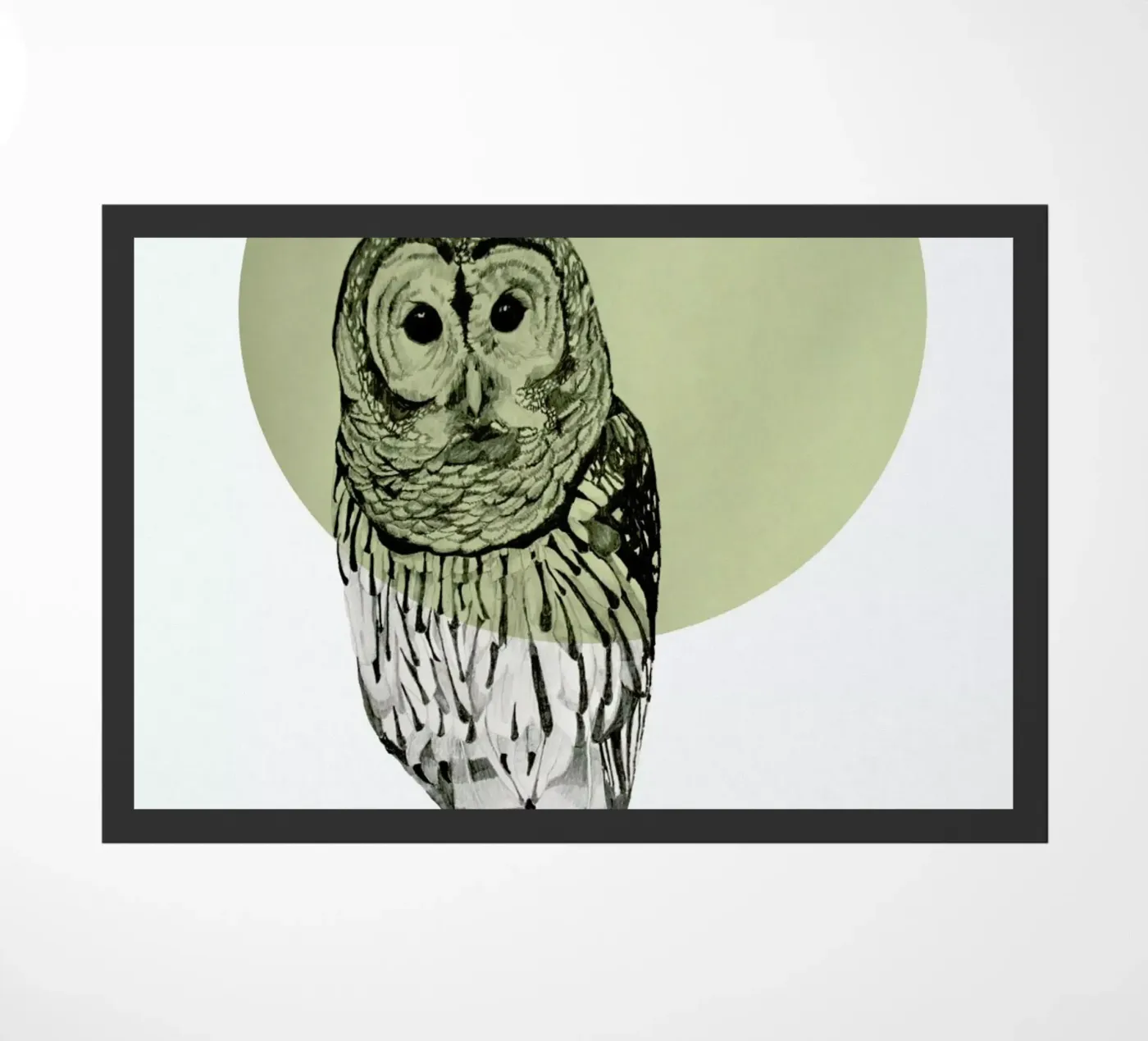 Owl zerbino da Morgan Kendall