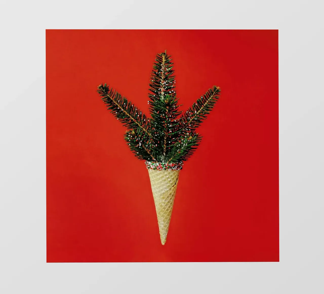 Pine Cone telo in pvc da Juj Winn