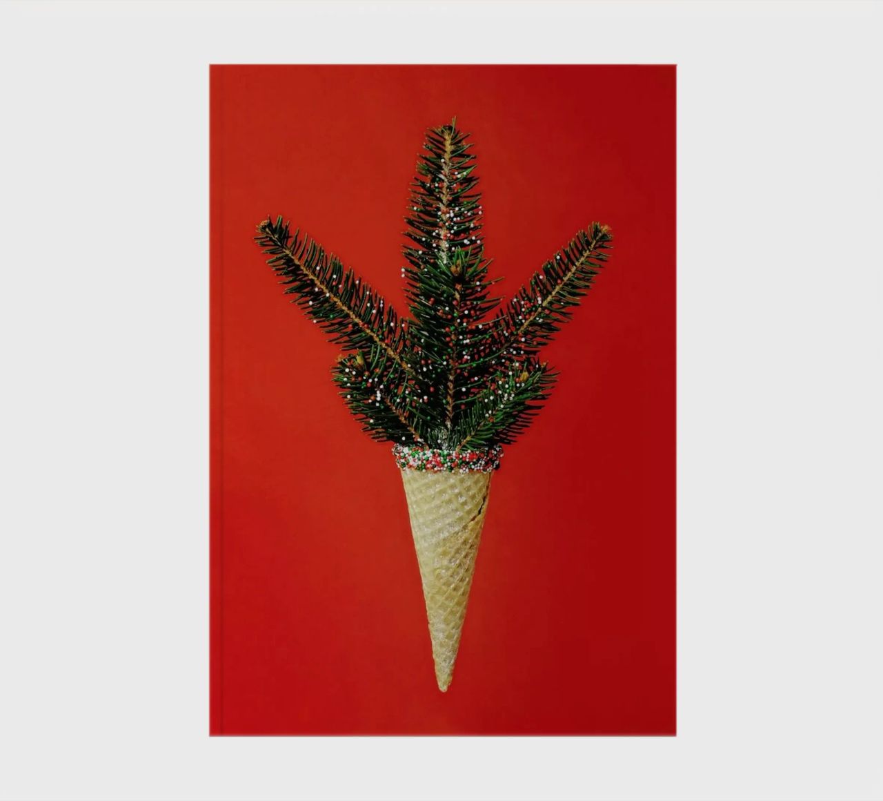 Pine Cone notebook by Juj Winn