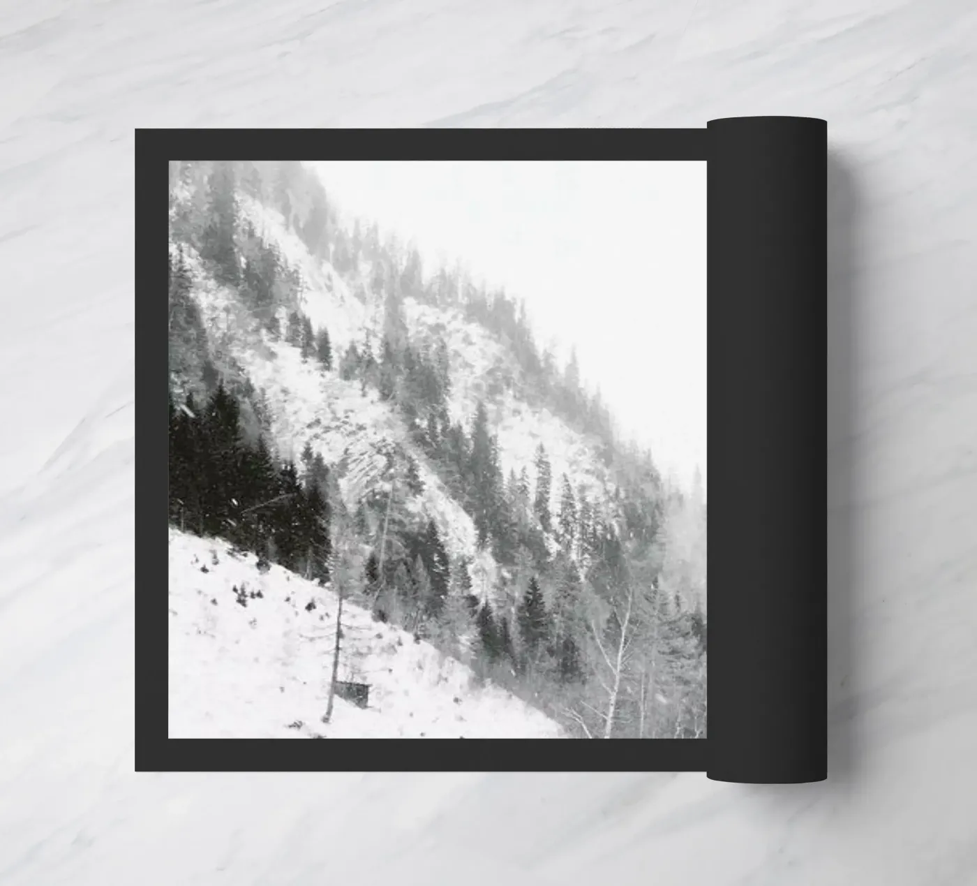 Winter Tag 5 zerbino da Picture On The Fridge