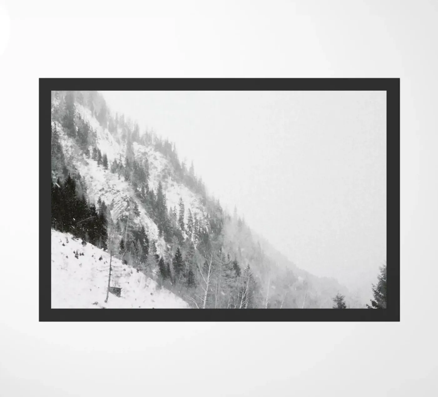 Winter Tag 5 zerbino da Picture On The Fridge