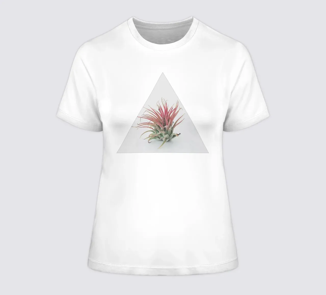 Air Plant women's fitted t-shirt by Cassia Beck Photography