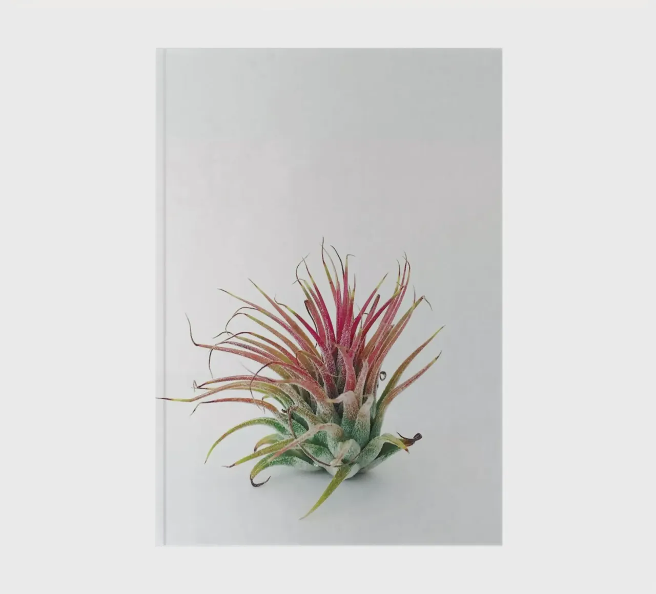 Impianto ad aria diario da Cassia Beck Photography