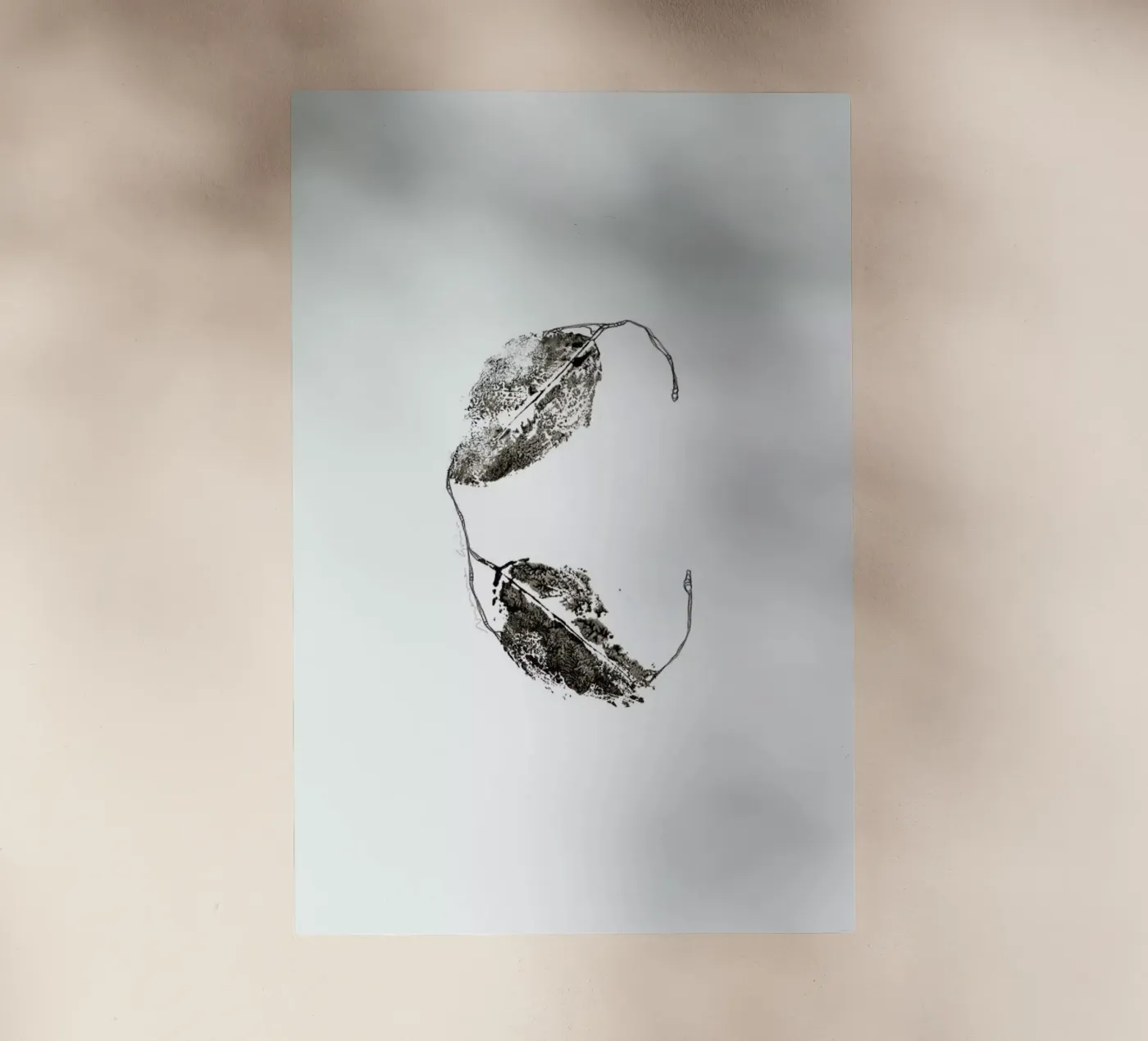 C pellicola backlit da Marina Guiu