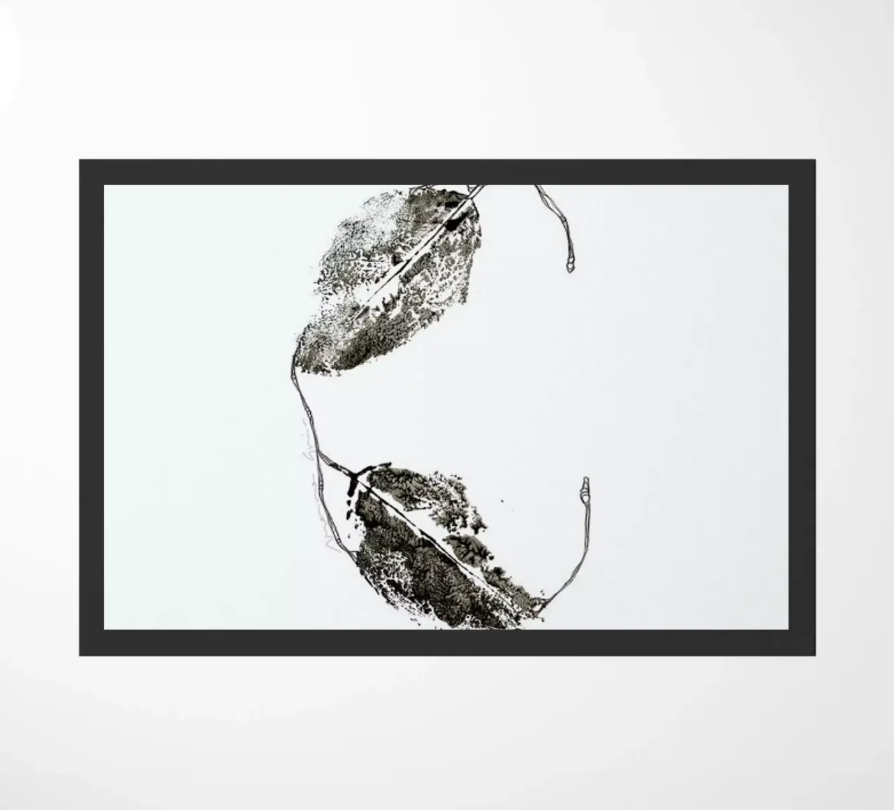 C zerbino da Marina Guiu