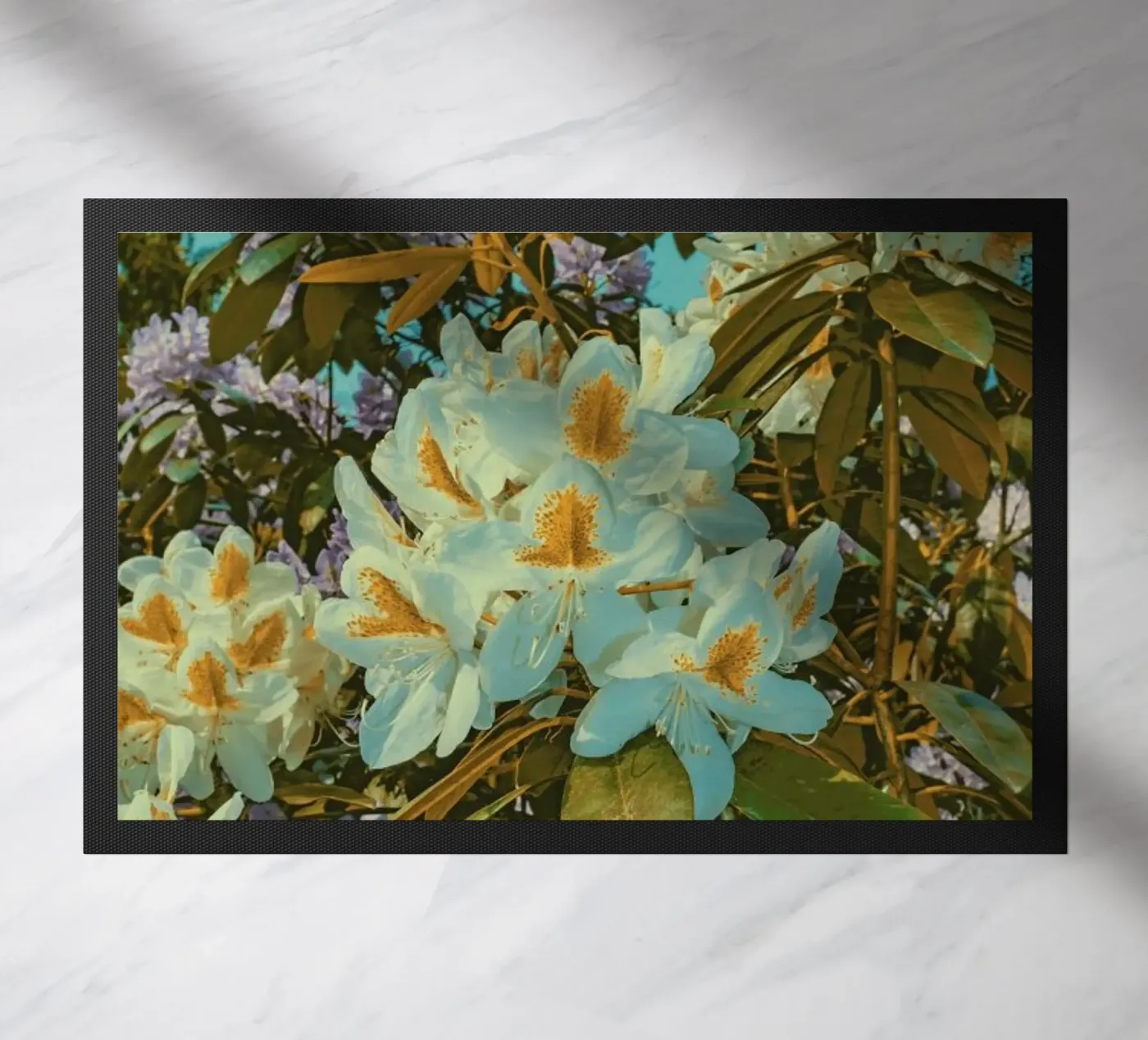 Chroma I zerbino da Pale Grain