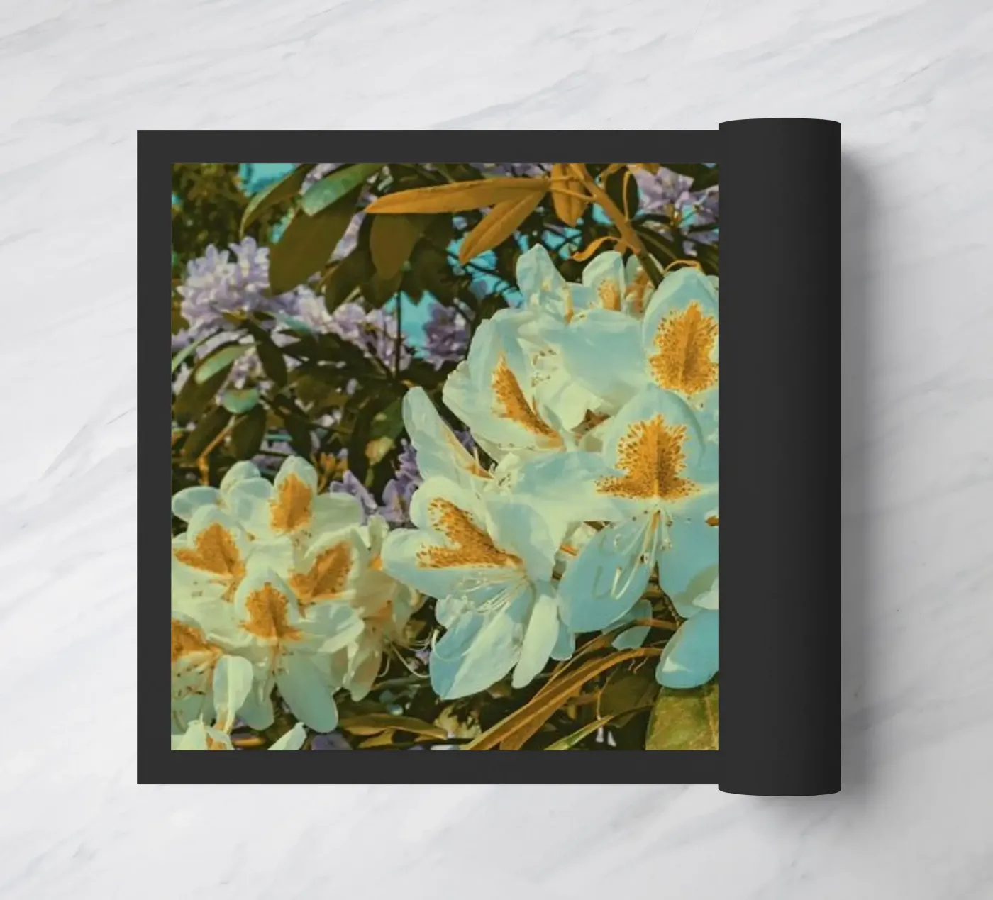 Chroma I zerbino da Pale Grain