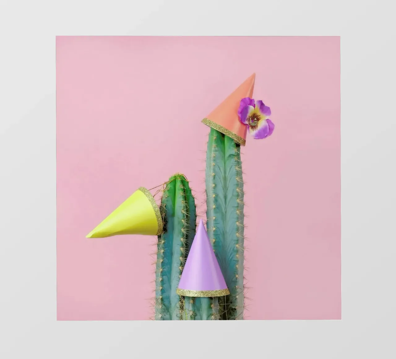Cactus Party Hats pellicola backlit da Juj Winn