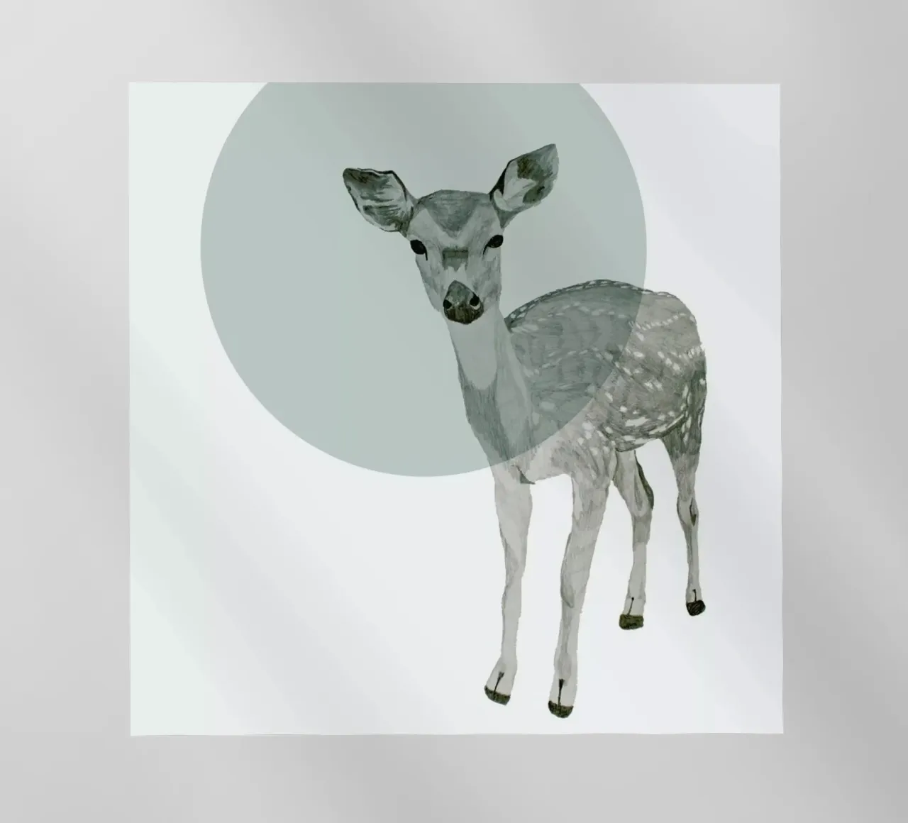 Deer pellicola backlit da Morgan Kendall