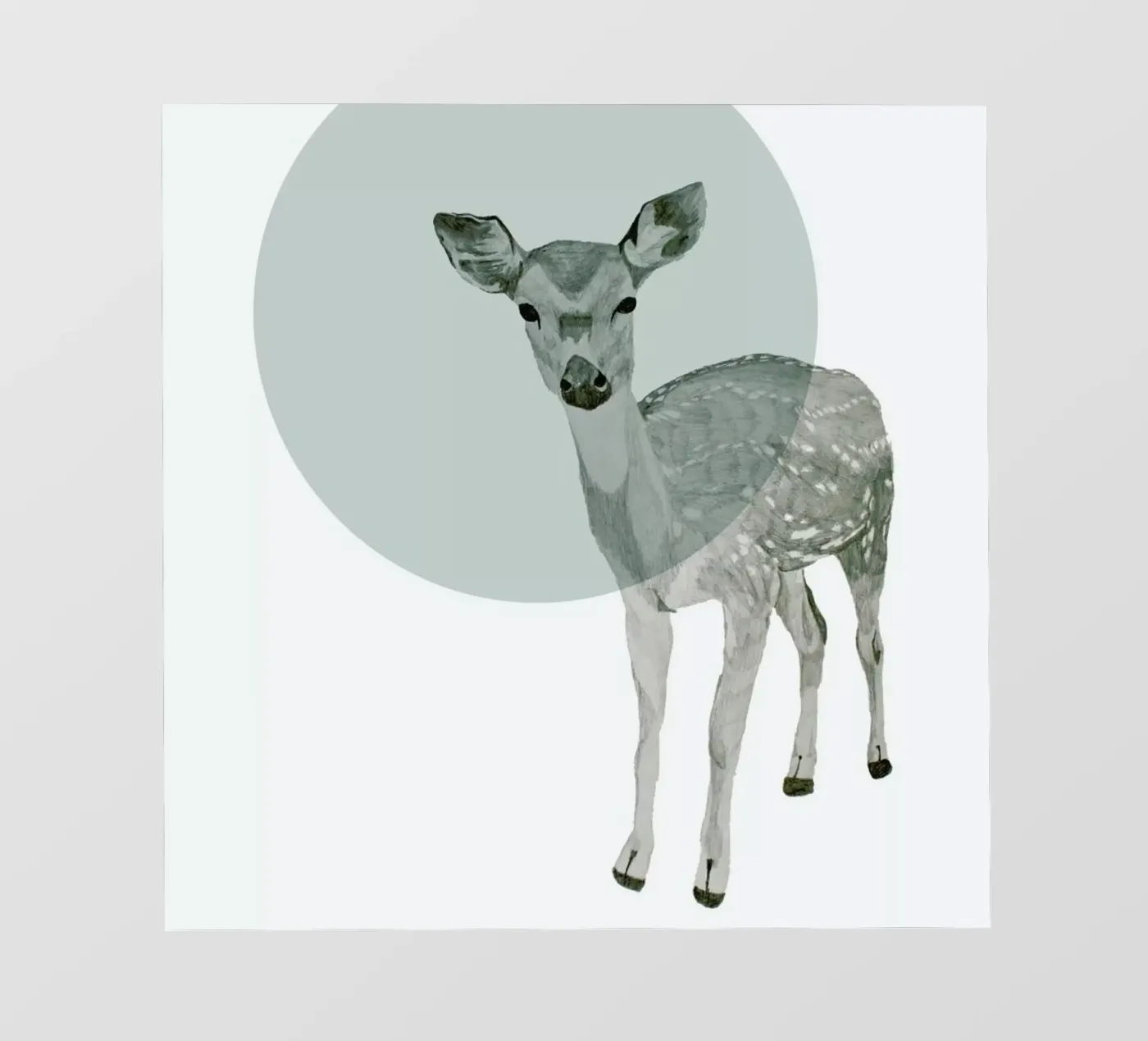 Deer pellicola backlit da Morgan Kendall