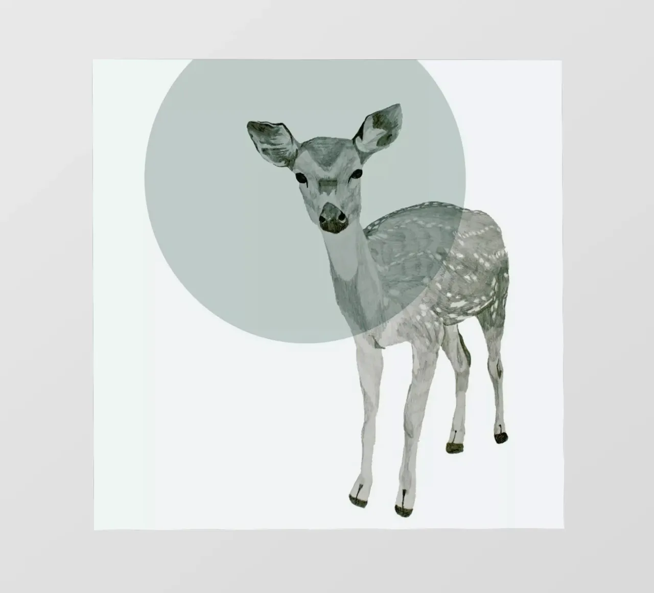 Deer pellicola backlit da Morgan Kendall