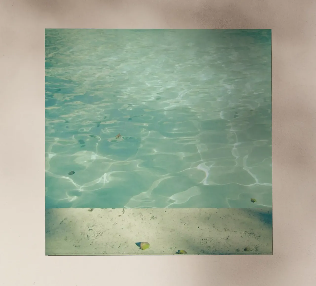 Nuoto mattutino pellicola backlit da Cassia Beck Photography