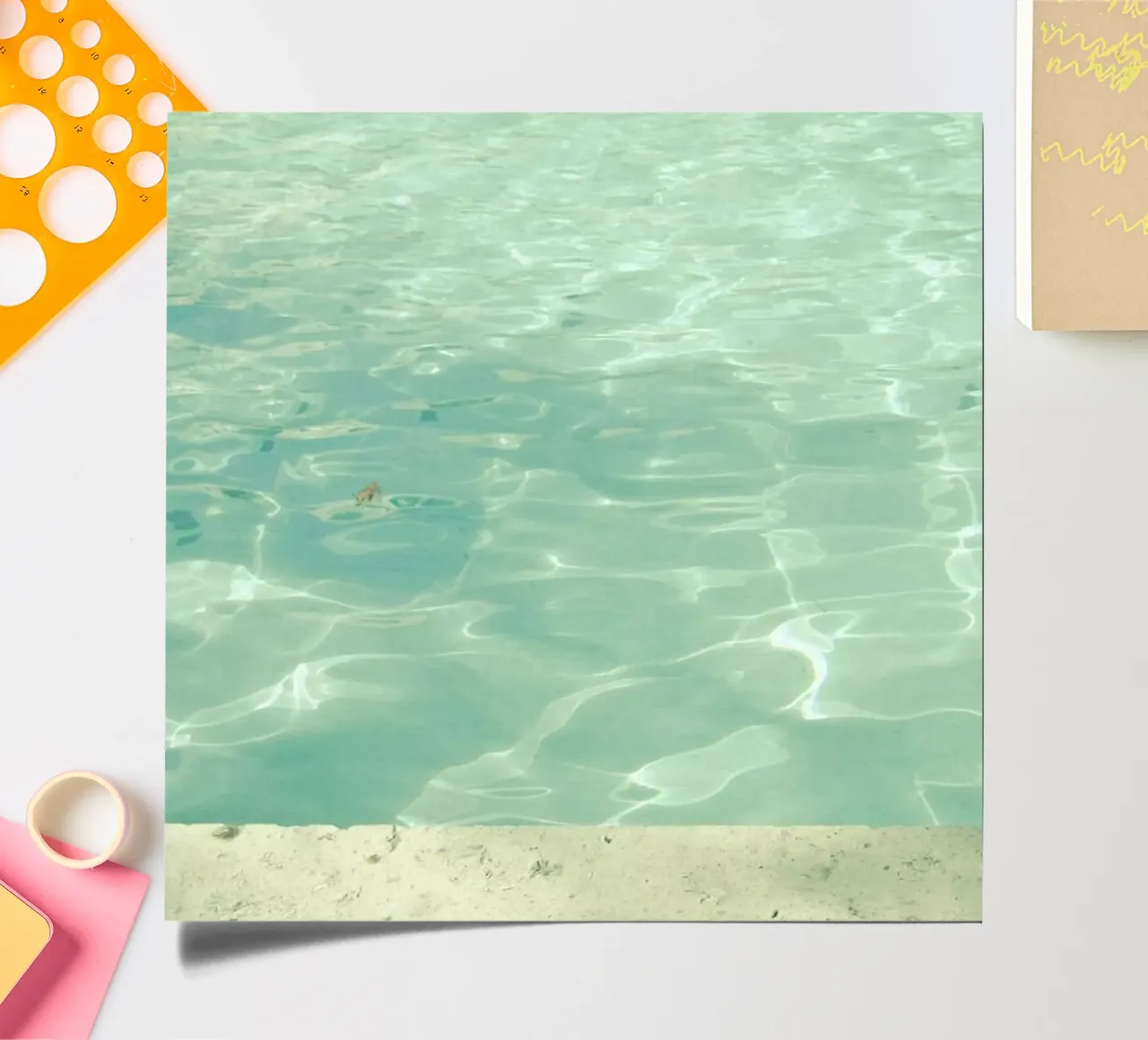Morning Swim sticker sheet by Cassia Beck Photography