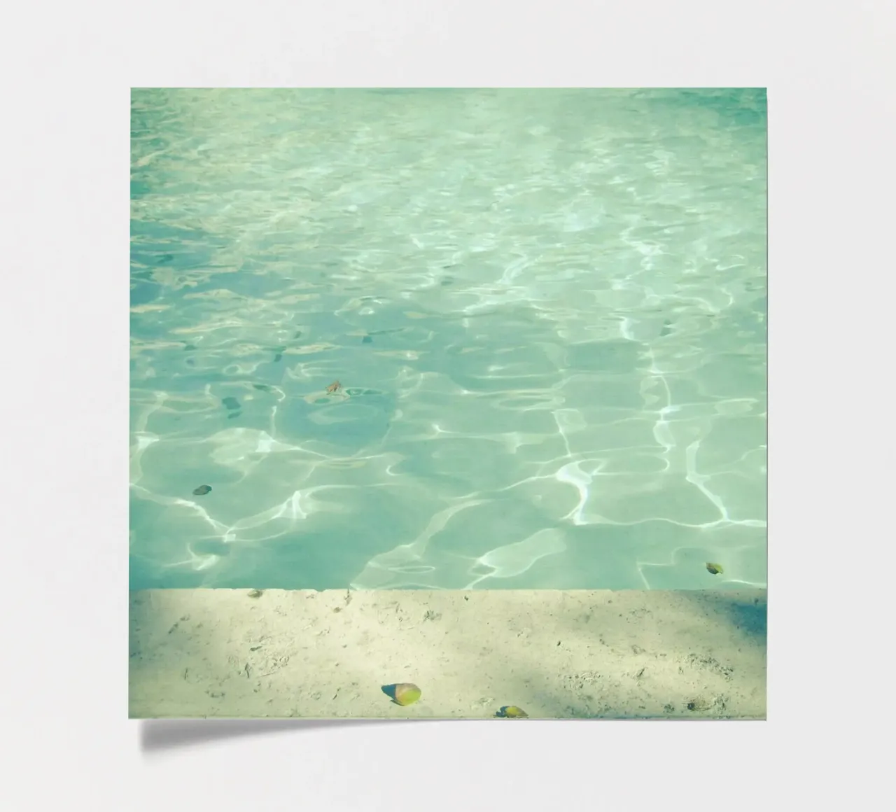 Morning Swim sticker sheet by Cassia Beck Photography