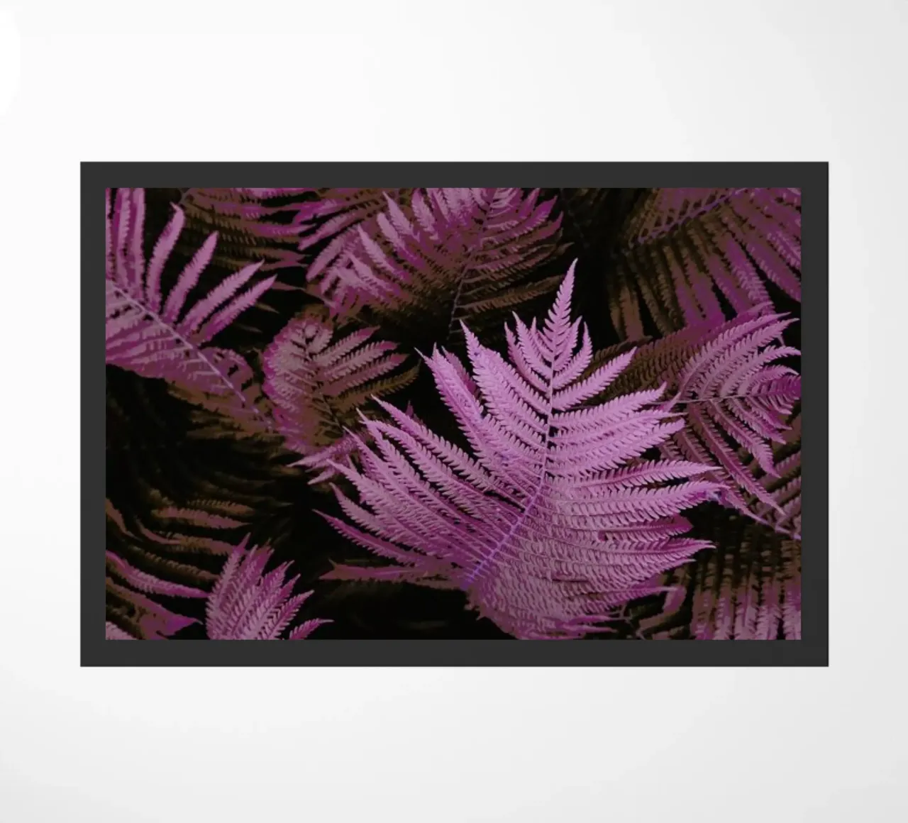 Foam 02 zerbino da Froilein Juno