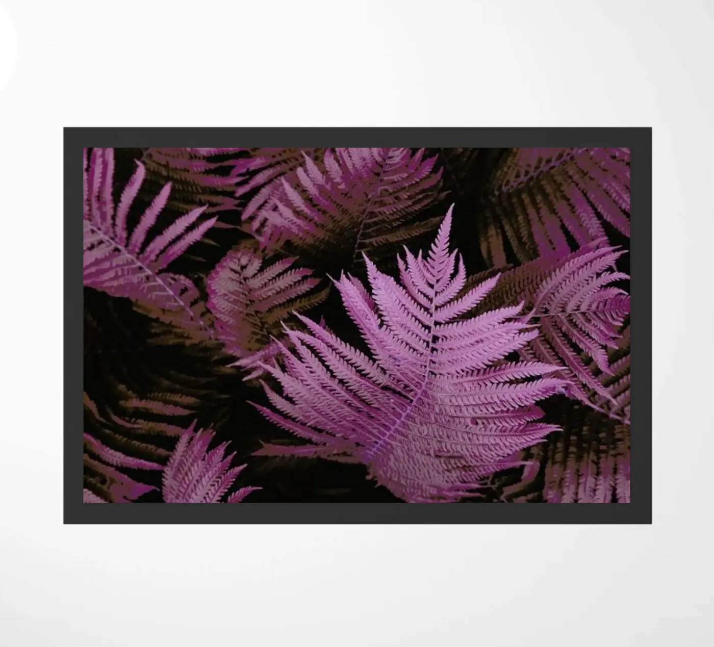 Foam 02 zerbino da Froilein Juno