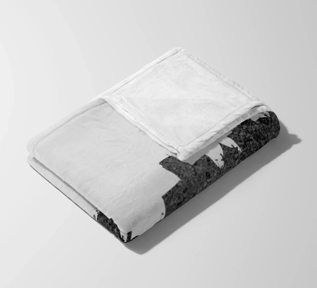 Albany New York coperta in pile da Travelstudio