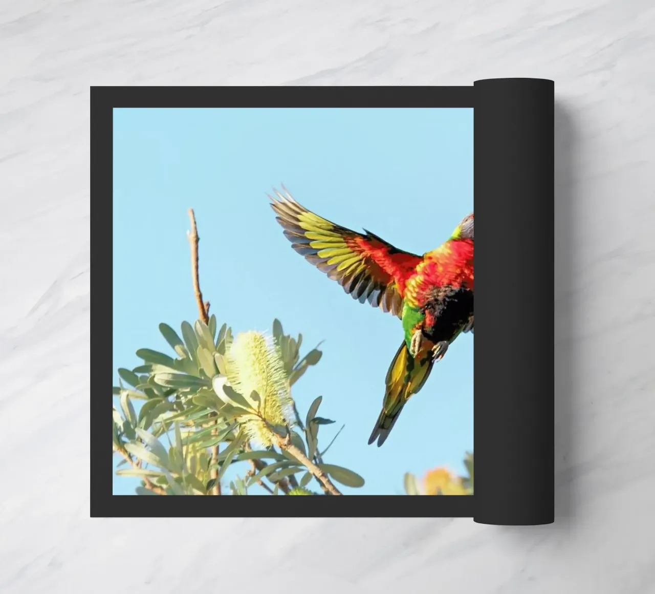 Lorry zerbino da Charlotte Curd