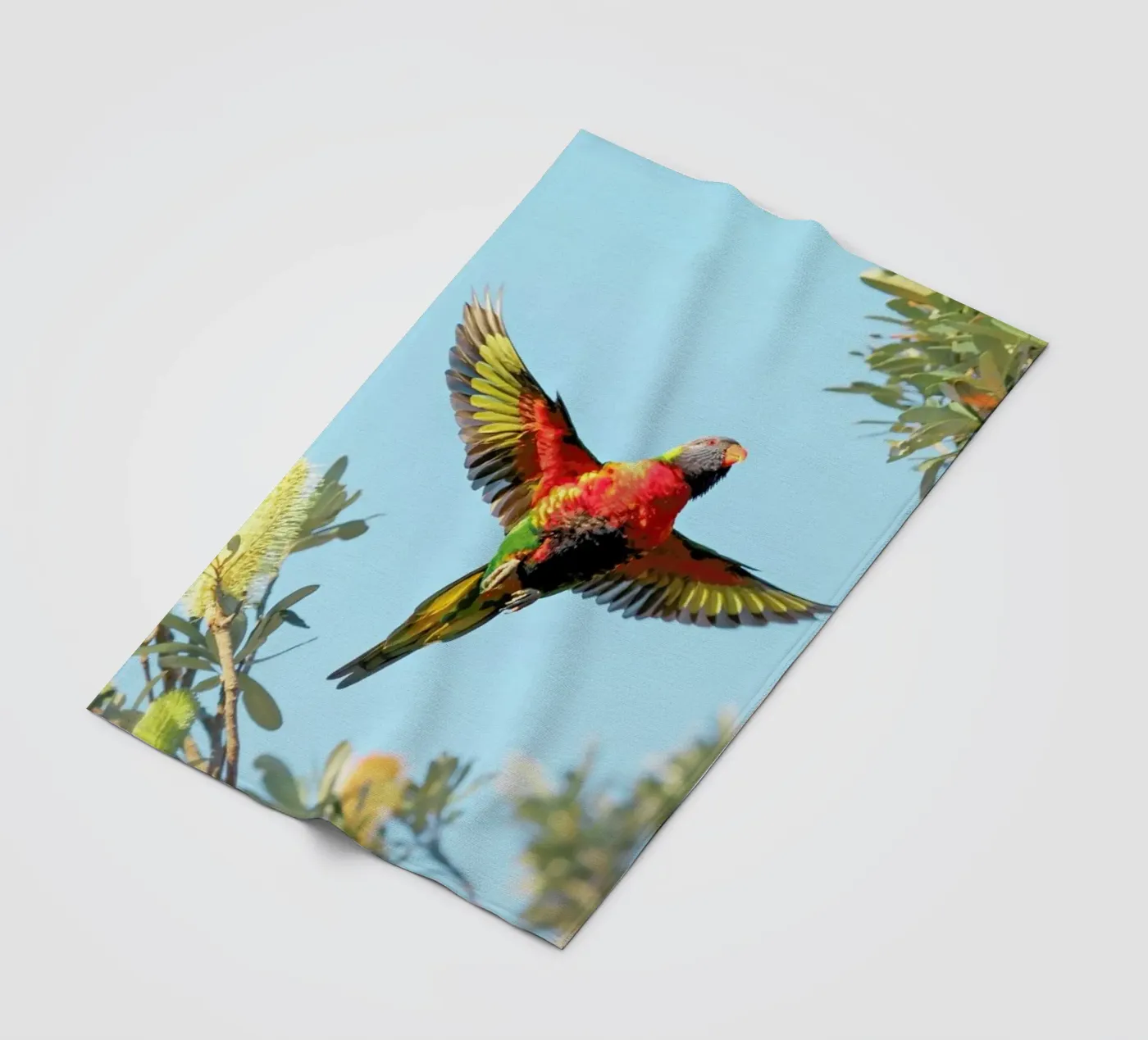 Lorry plaid polaire de Charlotte Curd