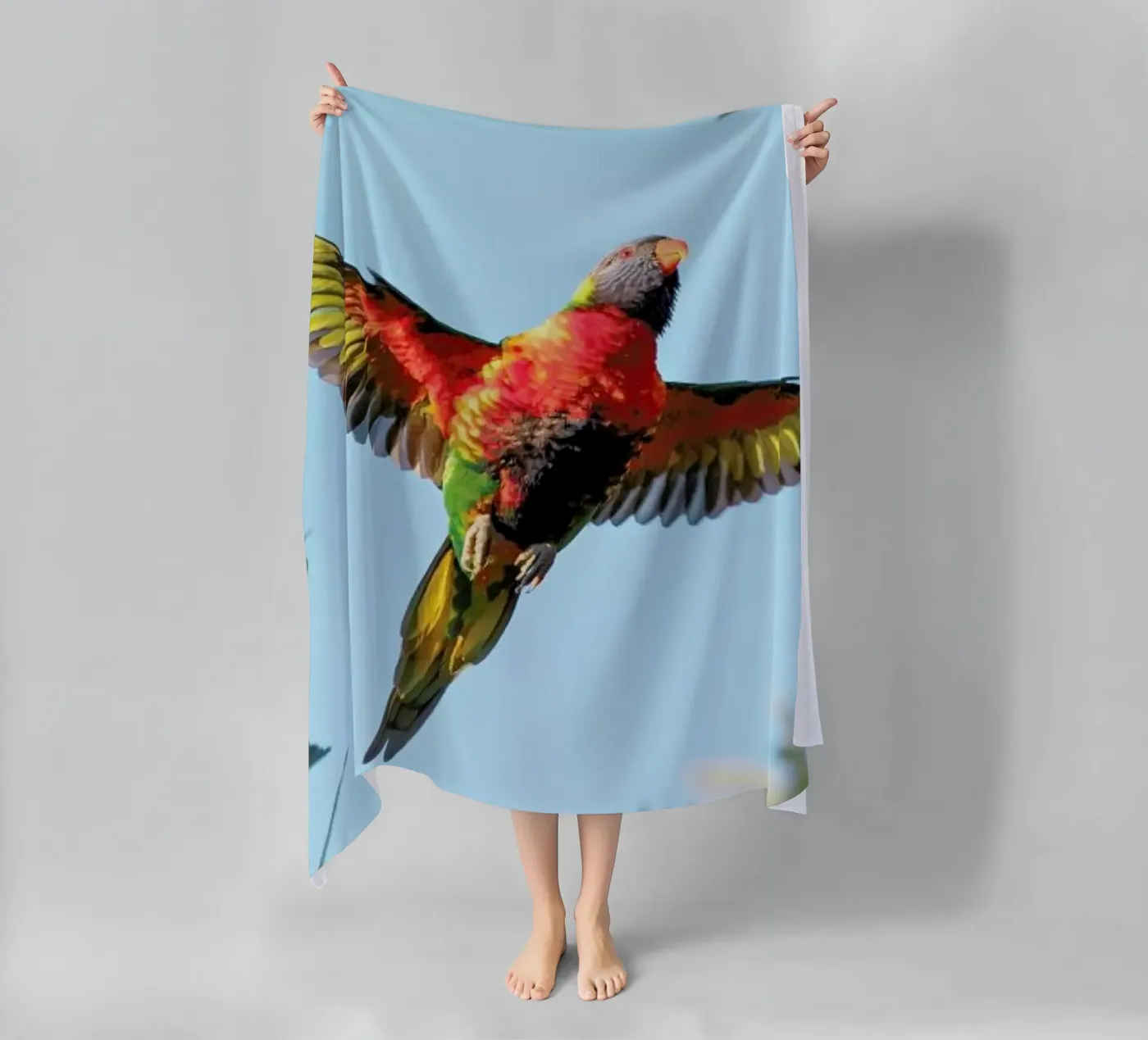 Lorry telo mare da Charlotte Curd