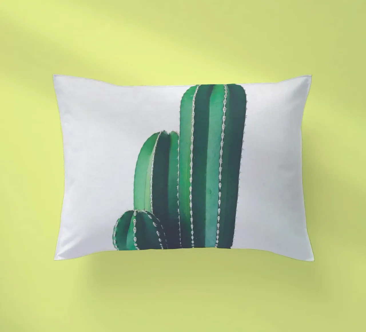 Cactus a pipa d'organo cuscino da Cassia Beck Photography