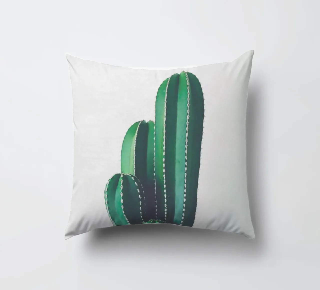 Cactus a pipa d'organo cuscino da Cassia Beck Photography
