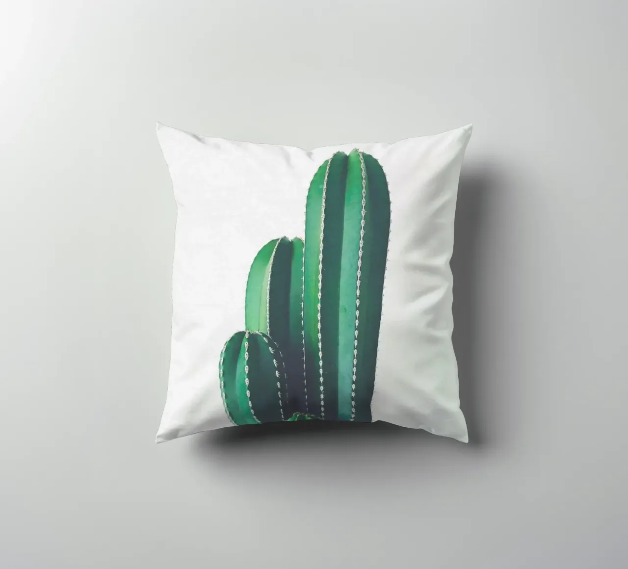 Cactus a pipa d'organo cuscino da Cassia Beck Photography