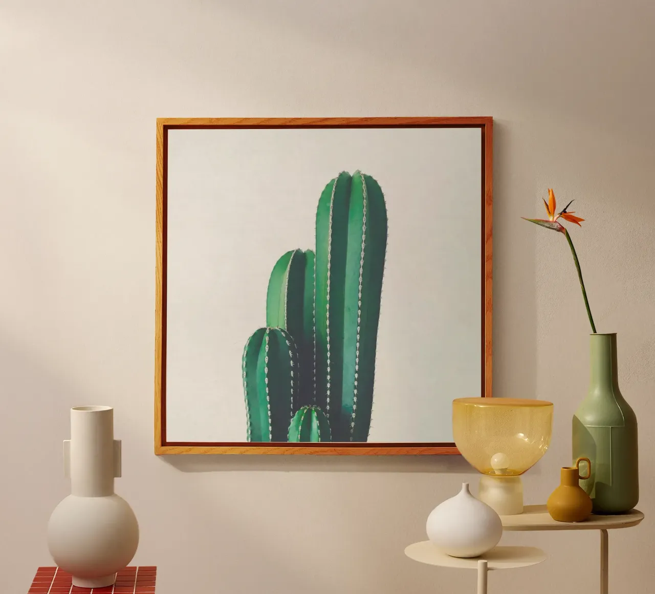 Cactus a pipa d'organo plexiglass da Cassia Beck Photography