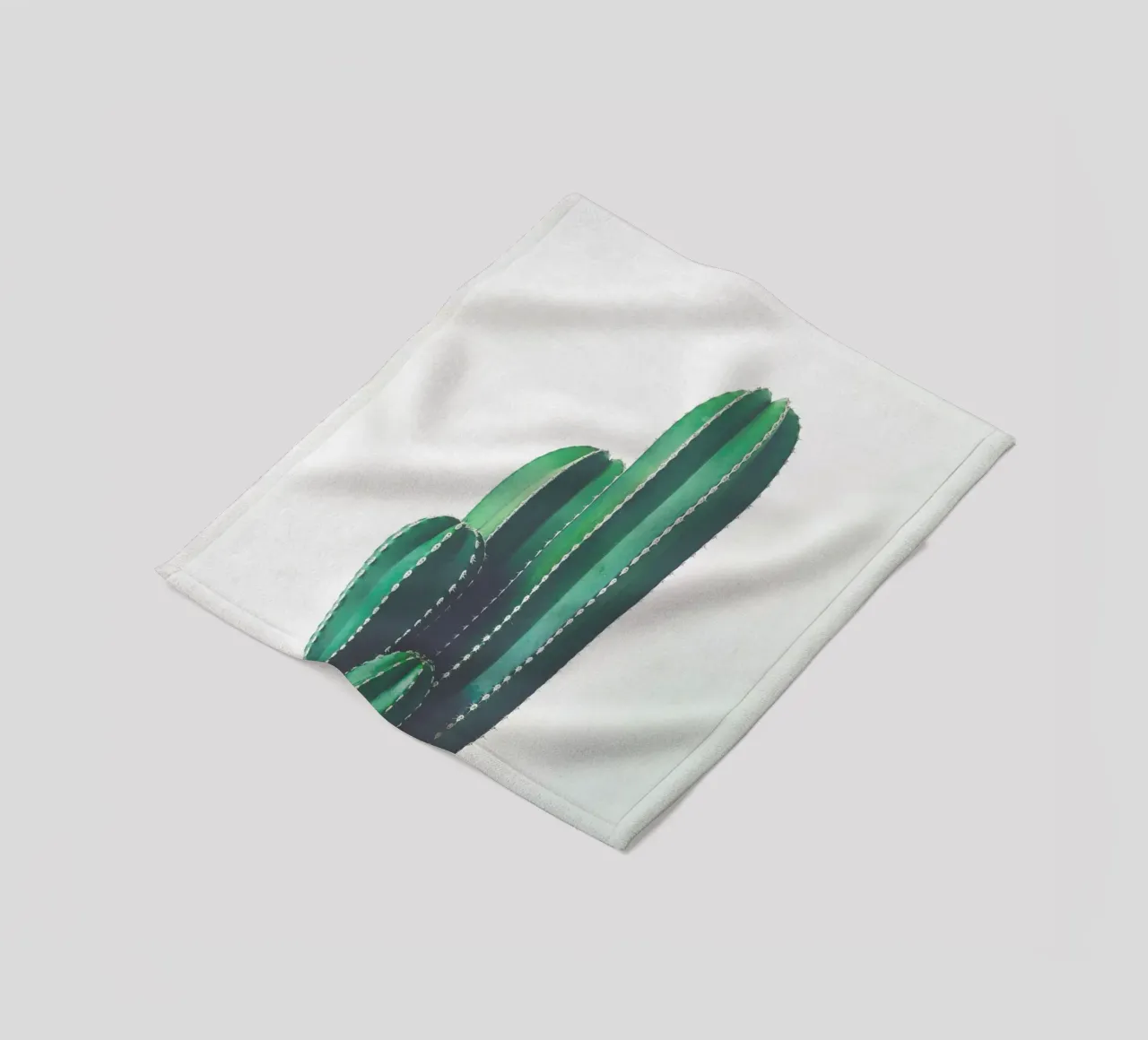 Cactus a pipa d'organo coperta in pile da Cassia Beck Photography