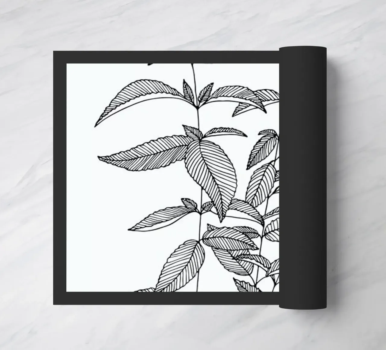 Minze zerbino da Studio Karamelo