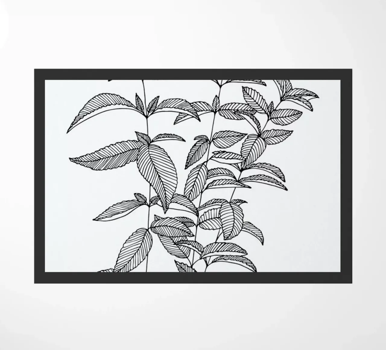 Minze zerbino da Studio Karamelo