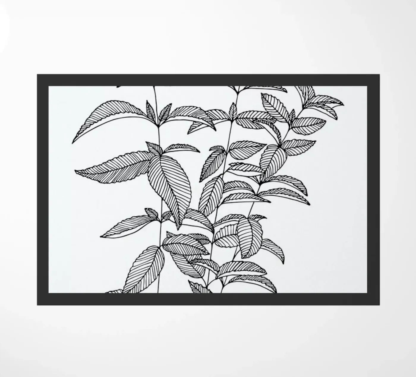 Minze zerbino da Studio Karamelo